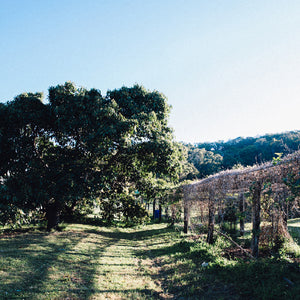 Mt Cotton Organic Farm