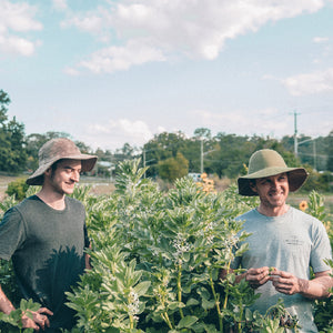 Neighbourhood Farm